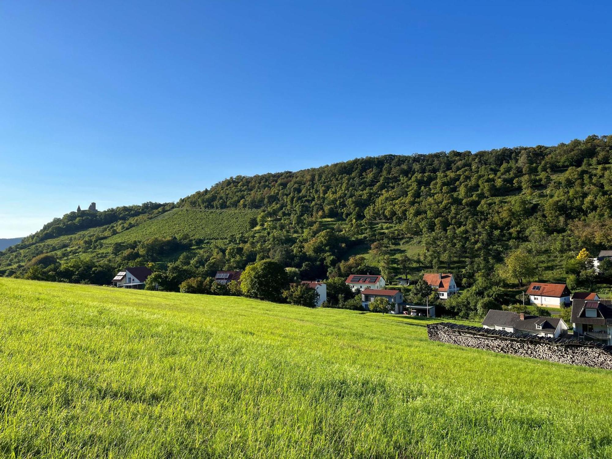 Ferienwohnung Angernest Elfershausen Exterior foto