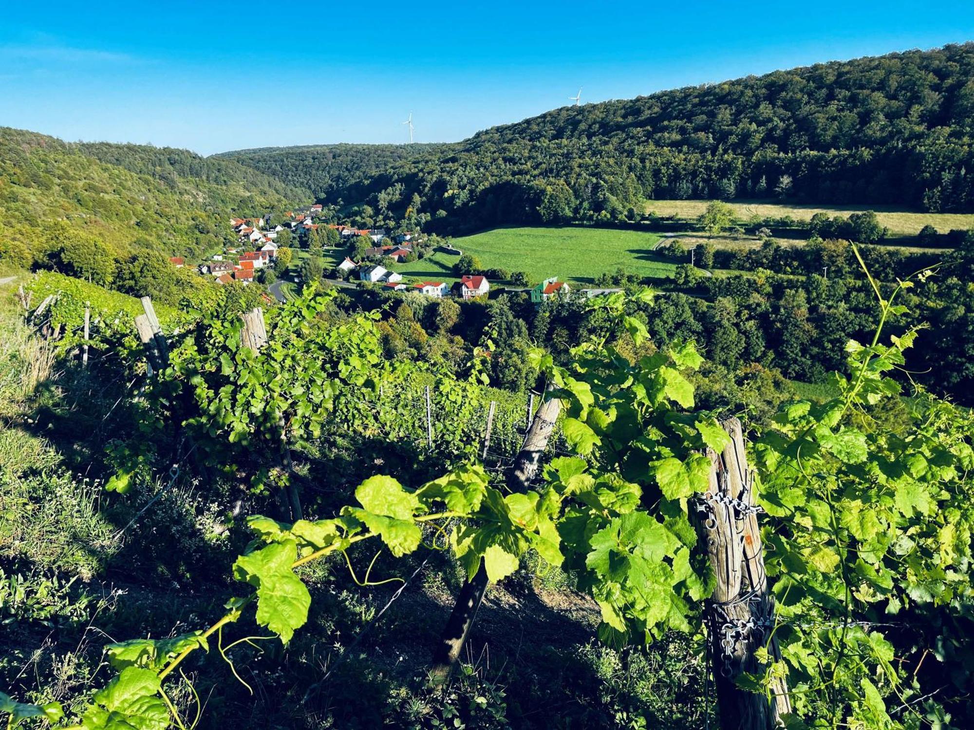 Ferienwohnung Angernest Elfershausen Exterior foto
